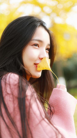 美国一级黄色录像安装流程图